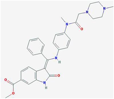 Focus on Nintedanib in NSCLC and Other Tumors